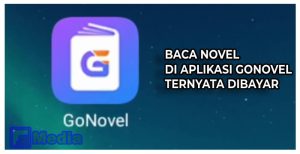 go novel