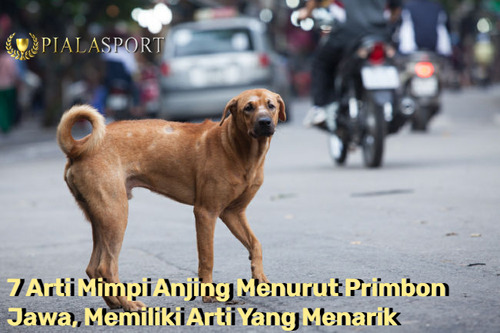 7 Arti Mimpi Anjing Menurut Primbon Jawa, Memiliki Arti Yang Menarik